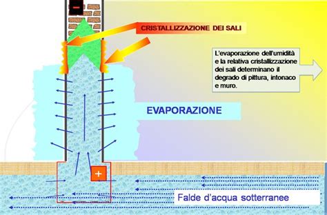 Umidit In Casa Approfondimenti Aquapol