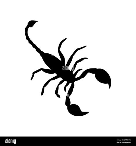 Vector Hand Drawn Scorpio Silhouette Stock Vector Image Art Alamy