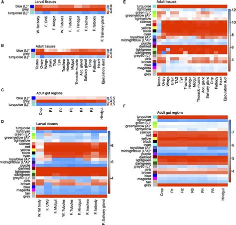 Frontiers The Transcriptome In Transition Global Gene Expression