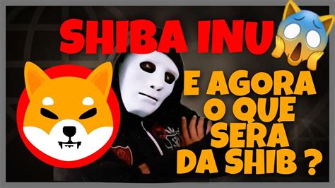 SHIBA INU HOJE TOMARAM POSSE DA SHIBA E AGORA AINDA VALE A PENA