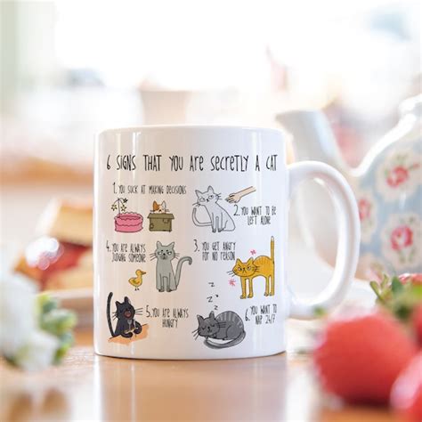 Six Signs That You Are Secretly A Cat Crazy Cat Lady Mug Etsy