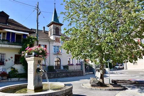 Entreprises de la région Meilleures entreprises de Saubraz