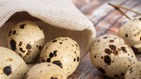 15 Facts You Need To Know About Eating Quail Eggs