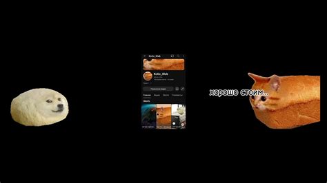 празднуем 💯! ура! - YouTube