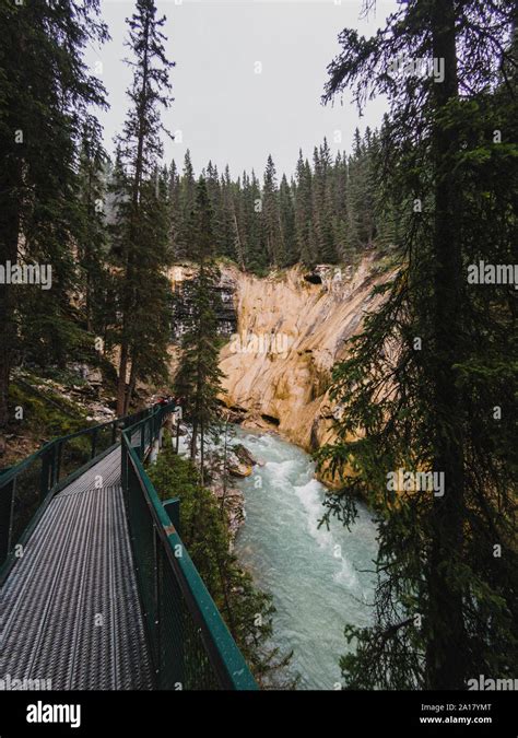 Metal Catwalk Running Alongside The Flowing Water In Johnston Canyon