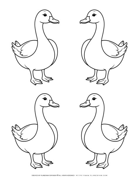 Beautiful Coloring Page Featuring Four Geese Outlines Farm Animals