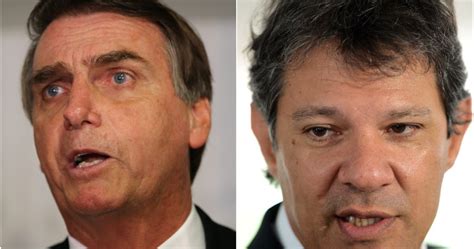 Bolsonaro e Haddad estão empatados tecnicamente diz pesquisa