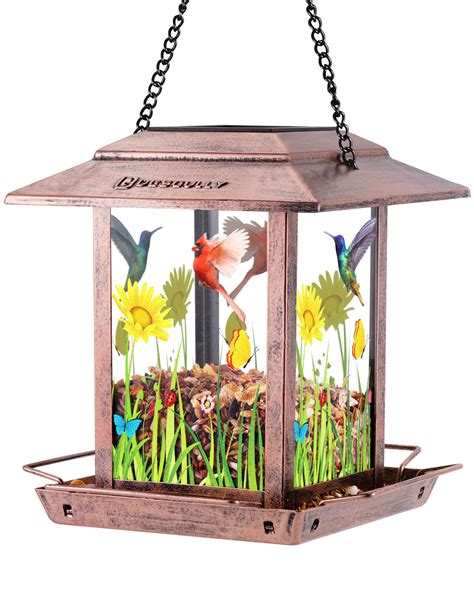 Best Bird Feeders For Your Backyard Top Picks Hummingbirds Plus