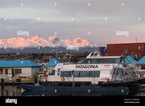 Argentina tierra del fuego wildlife hi-res stock photography and images - Alamy