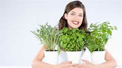 Aromatic Plants Indoors