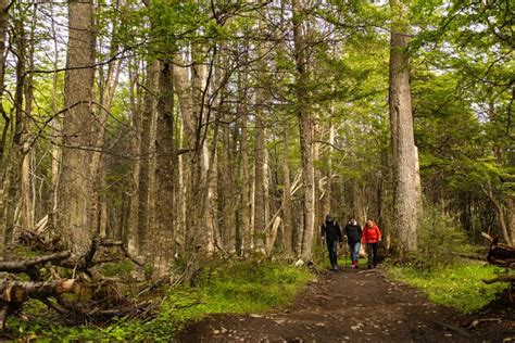 Discover Tierra Del Fuego National Park