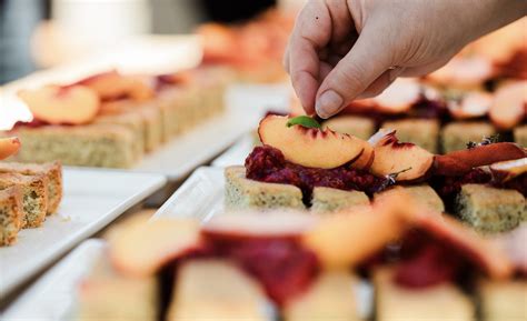 Freecycling in Santa Cruz: A Community Driven Gift Economy Model Thrives 9