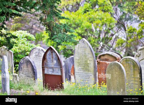 Old City Cemetery In Wellington Stock Photo Alamy