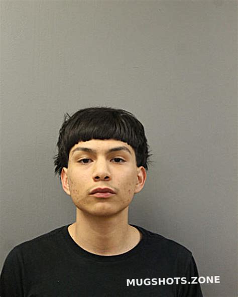 ADRIEL DOMINGUEZ 04 02 2024 Chicago Mugshots Zone