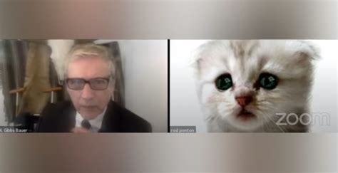 Im Not A Cat Zoom Filter Turns Lawyer Into Cat During Video Meeting