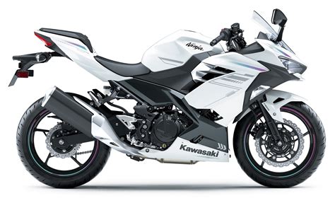 Kawasaki Ninja Motopiazza