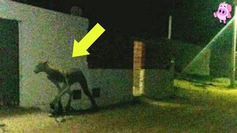 10 Creepy Cryptid Sightings Caught On Film Youtube