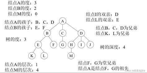 【数据结构】在任意一棵二叉树中树叶的数目比度数为2的数目多1 Csdn博客