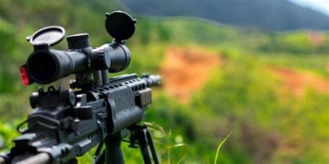 What Is the Best Scope for a 22 Magnum Rifle?