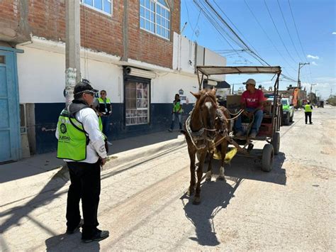 A Direcci N De Ecolog A Contin A Con Los Operativos Para Detectar