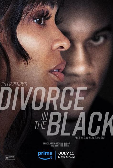 Cartel De La Película Tyler Perrys Divorce In The Black Foto 1 Por