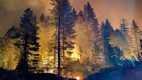 California Wildfires Mosquito Fire Grows To More Than 60 000 Acres