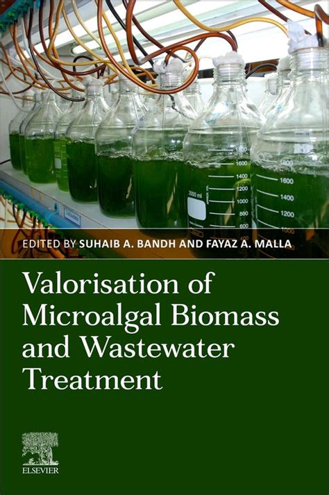 Valorization Of Microalgal Biomass And Wastewater Treatment Ebook