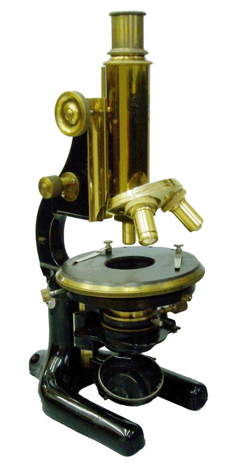 Zeiss Microscope Cajal