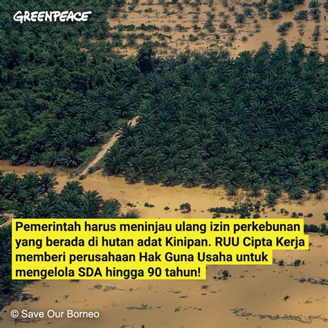 Greenpeace Indonesia On Twitter Masyarakat Kinipan Yang Sejak Turun