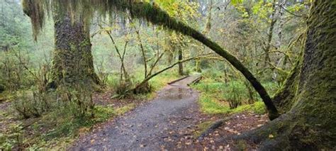 2023 Best 10 Trails And Hikes In Forks Alltrails