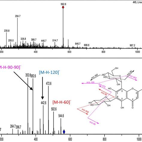 LCMS Spectrum Of The MH Ion Of Isoschaftoside Obtained On A Triple