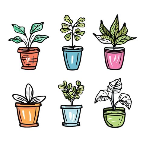 Premium Vector Six Potted Plants Colorful Vector Illustration