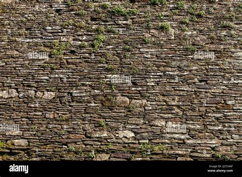 Stone wall with green moss Stock Photo - Alamy