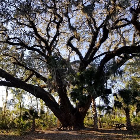 Must Do Hikes in Lake County – Visit Lake – Lake County, FL Tourism Blog