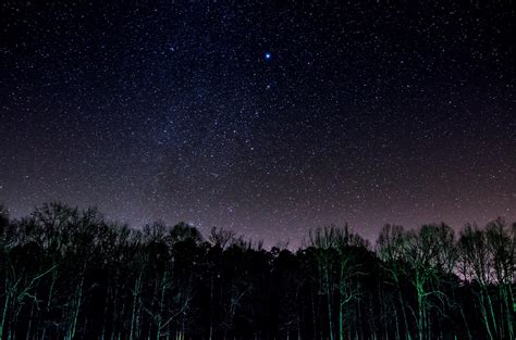 wallpaper starry sky, trees, night, shine HD : Widescreen : High ...