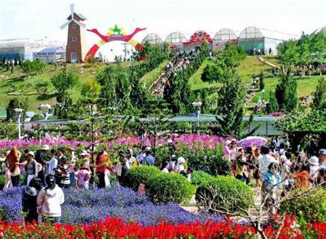 Dalat Flower Festival - Anually Flower Festival in Da Lat