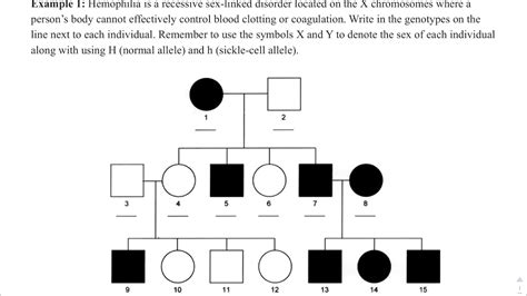 An Example Of How To Complete An X Linked Recessive Pedigree For The