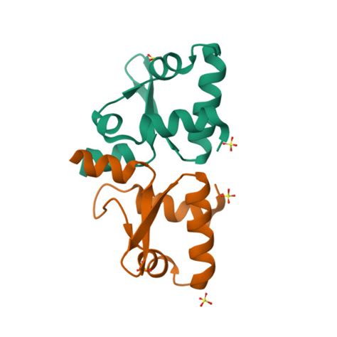 RCSB PDB 1UCR Three Dimensional Crystal Structure Of Dissimilatory