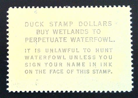 Scott Rw Vf Multicoloured Hunting Permit Stamp Mnh