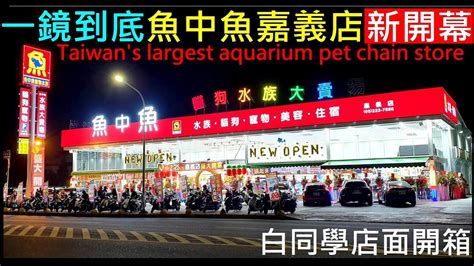 一鏡到底來逛魚中魚嘉義店新開幕【超大型寵物店／觀賞魚／犬貓鼠兔毛小孩用品】taiwans Largest Aquarium Pet