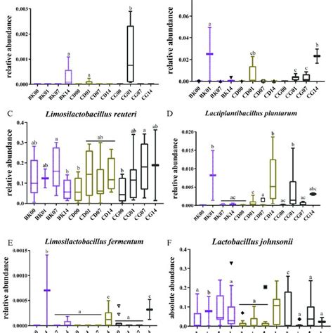 Effects Of Different Probiotic Compound Combinations On The Gut