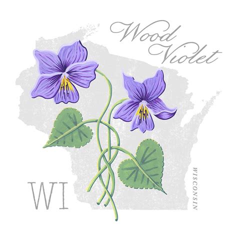 Wisconsin State Flower Violet Art by Jen Montgomery Painting by Jen Montgomery - Fine Art America