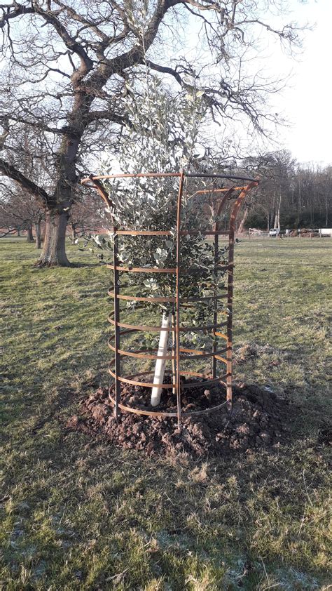 An Engineering Project - Balcaskie