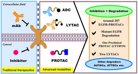 Targeting The Epidermal Growth Factor Receptor With Molecular Degraders