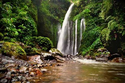 Air Terjun Sendang Gile Lombok Spot Healing Terbaik Friendly Tour