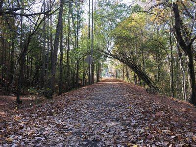 Hiking Trails near Sewanee