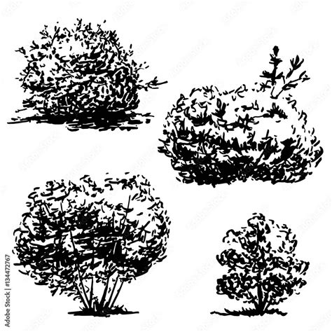 Set of four hand drawn bushes sketch, black nature flora illustration ...