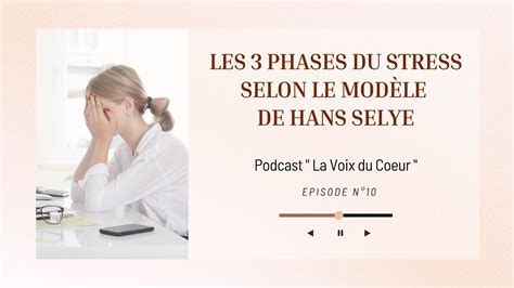 Les 3 Phases Du Stress Selon Hans Selye Youtube