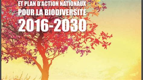 Stratégie Et Plan Daction Nationale Pour La Biodiversité 2016 2030