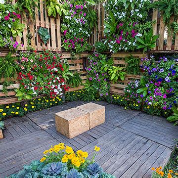 Cómo crear un jardín vertical en la terraza con ideas DIY Foto 1